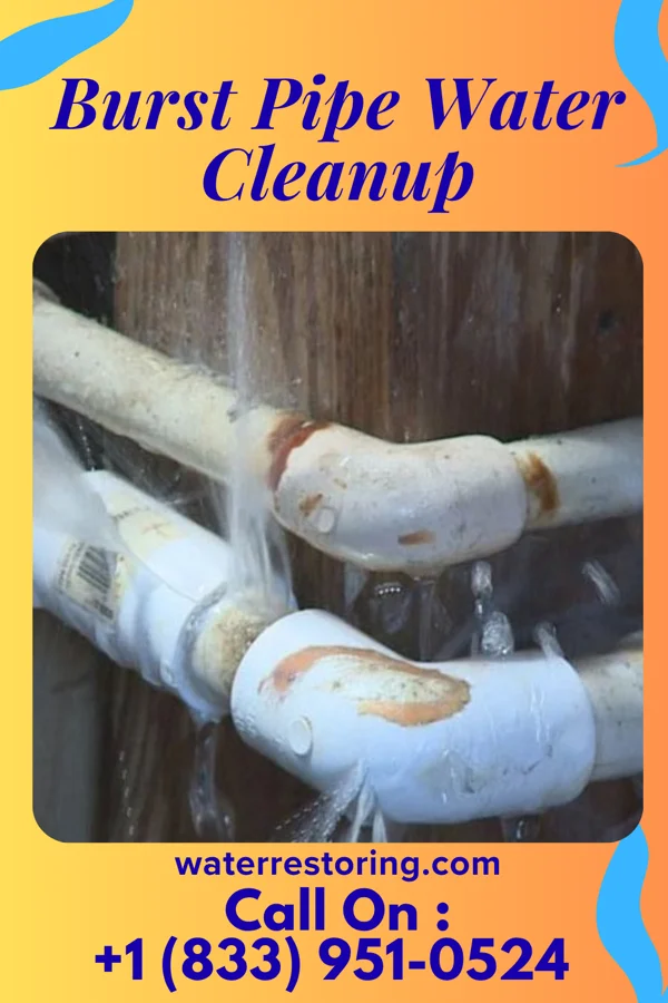 Burst Pipe Water Cleanup in Wheatland, IN