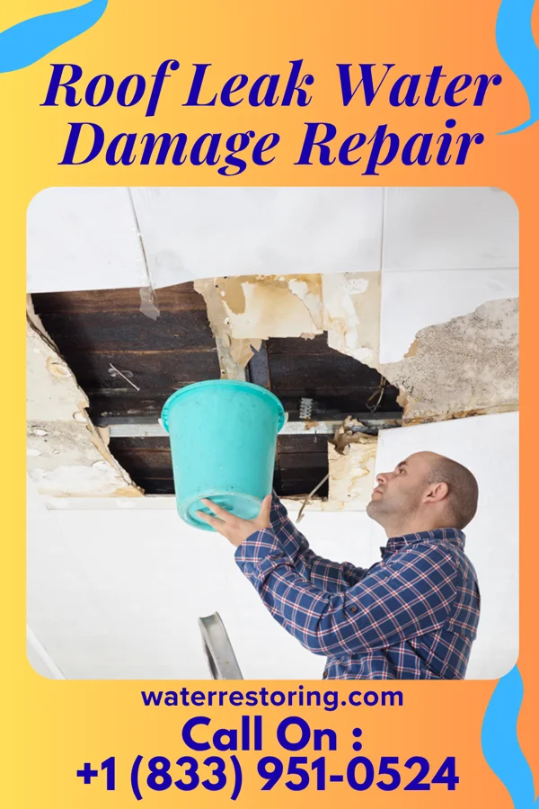 Roof Leak Water Damage Repair in Wheatland, IN