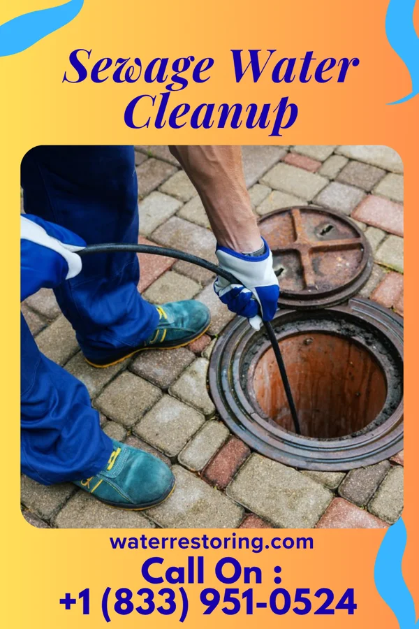 Sewage Water Cleanup in Wheatland, IN