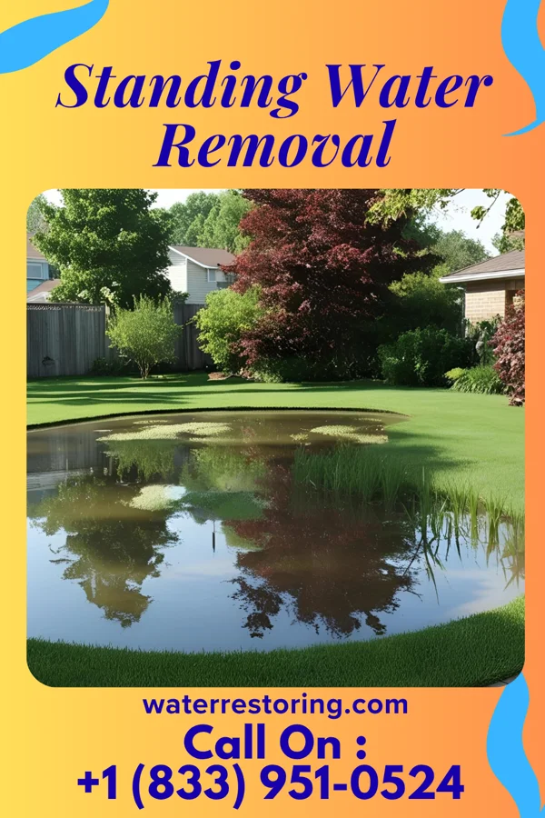 Standing Water Removal in Wheatland, IN
